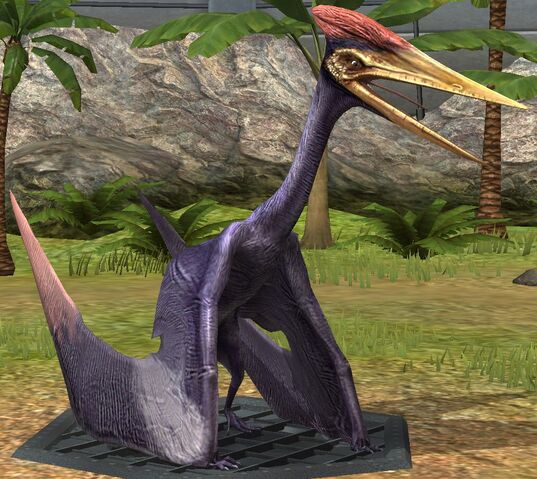 File:Zhejiangopterus lvl 20.jpg