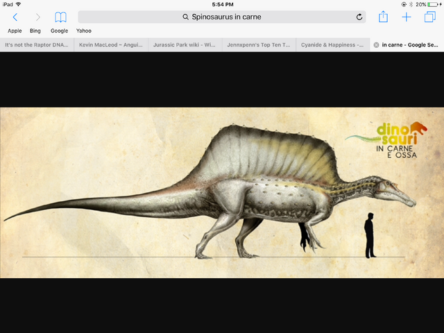 File:Spinoscale.png