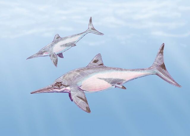 File:Ichthyosaur.jpg