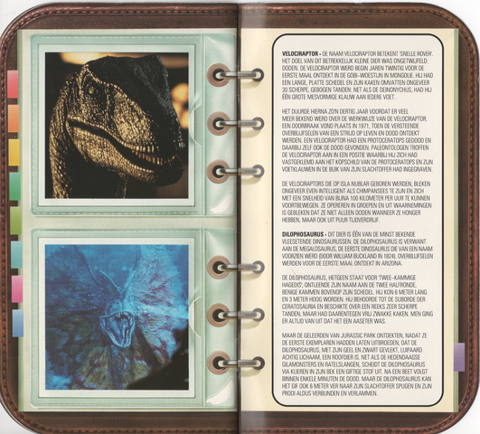 File:Fossil Booklet 9.png