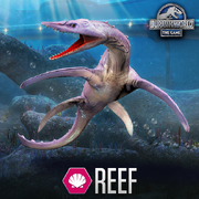 Leptocledius JW Promo