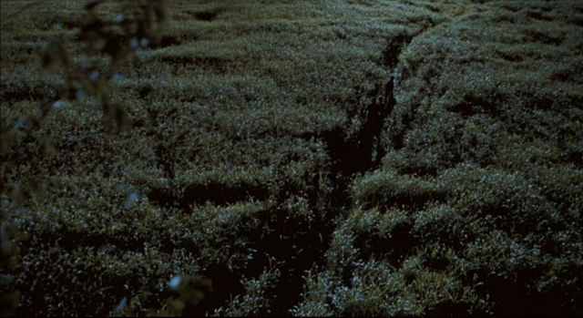 File:BeFunky Long-Grass.png