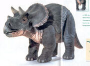 Triceratops baby