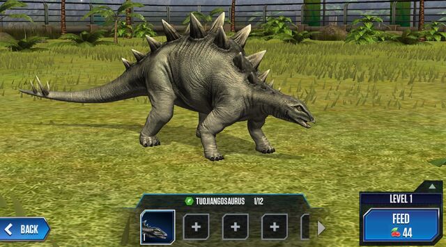 File:Tuojiangosaurus Base.jpg