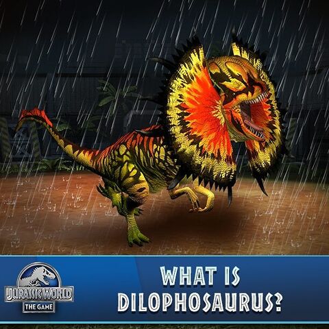 File:Dilophosaurus Venenifer (259).jpg