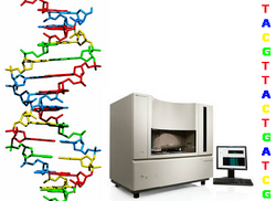 DNA2bit