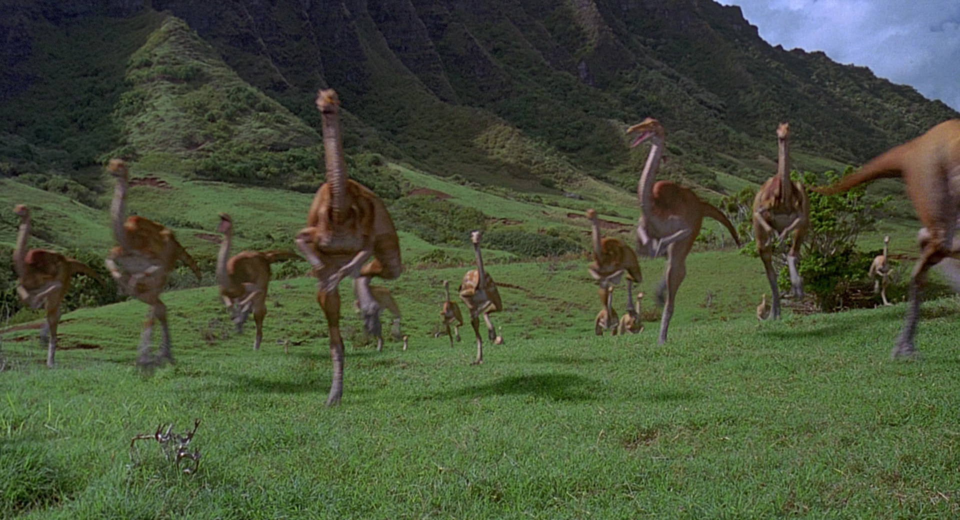 Gallimimus flocking scene Jurassic Park wiki FANDOM