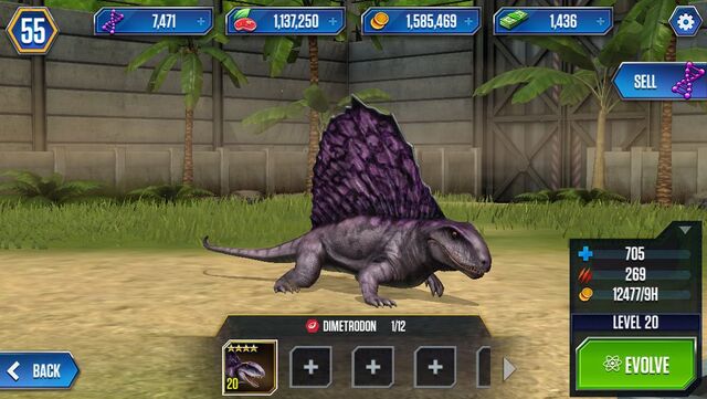 File:Dimetrodon by wolvesanddogs23-d97p9bp.jpg