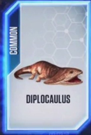 Diplocaulus.jpg