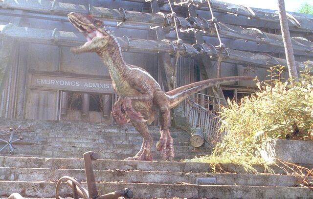 File:JP3EmbryonicsSornaRaptor.jpg