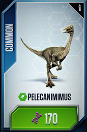 Pelecanimimus Card