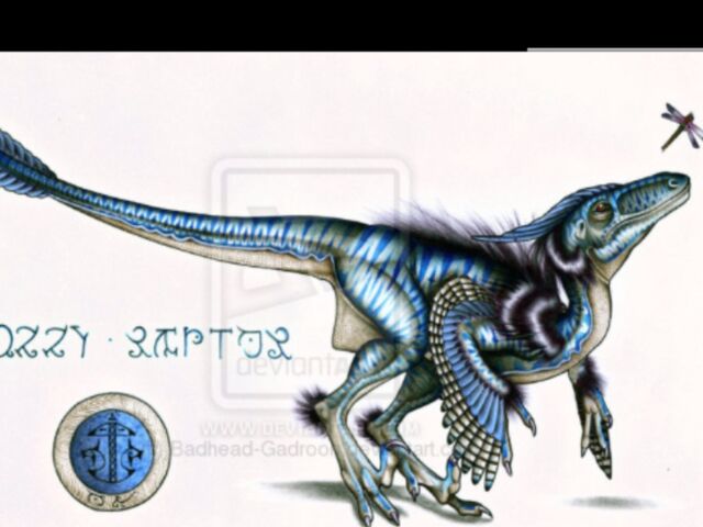 File:Featheredraptor5.jpg