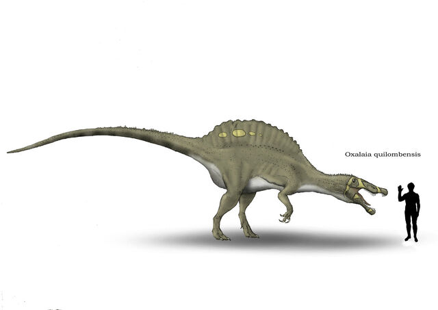 File:Oxalaia by hyrotrioskjan-d3bzs47.jpg