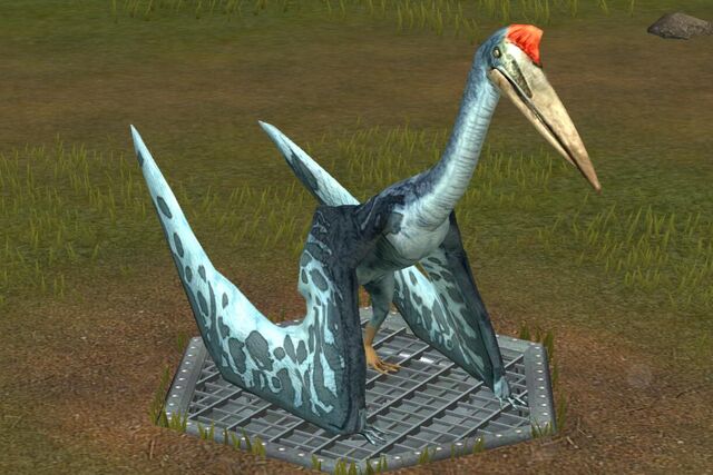 File:Quetzalcoatlus (83).jpg