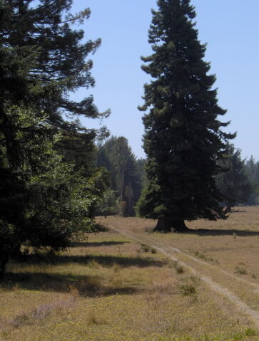 File:HPIM1052.jpg