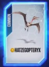 Hatzegopteryx.jpg
