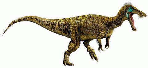Baryonyx.jpg