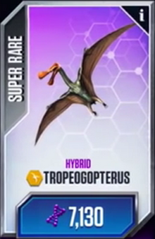 Tropegopterus