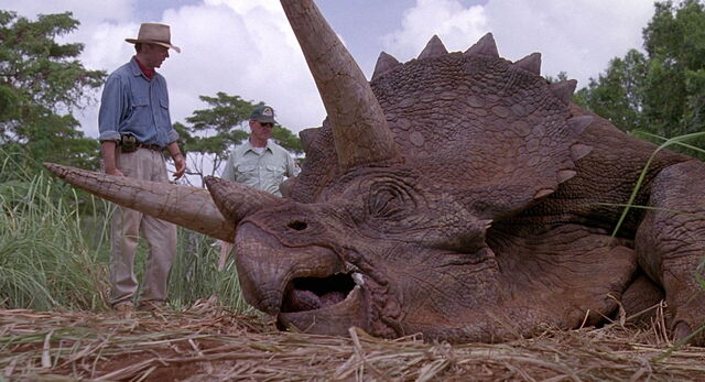 File:Triceratops.jpg