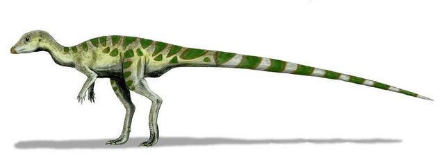 File:Leaellynasaura.jpg