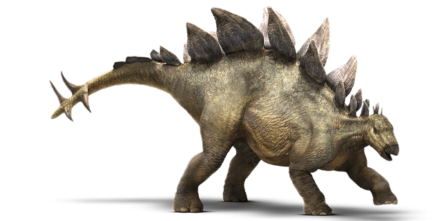File:Stegosaurus-detail-header.png
