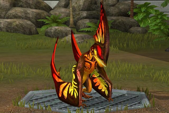 File:Tapejara Navigans (42).jpg