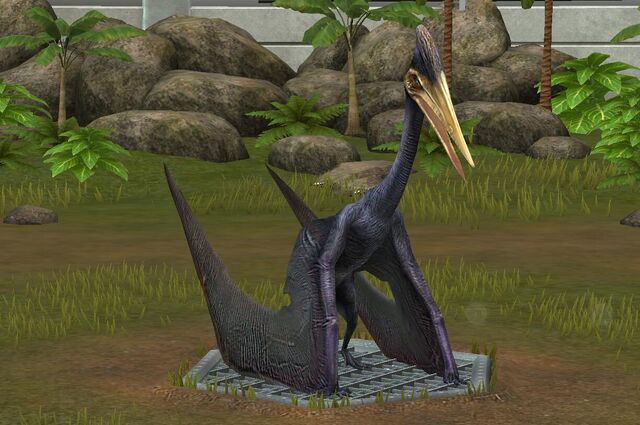 File:Zhejiangopterus (18).jpg