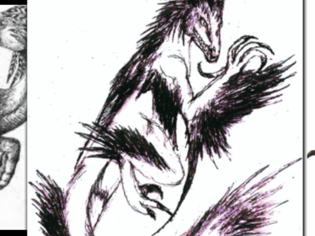 File:Featheredraptor14.jpg