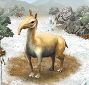 Macrauchenia.jpg