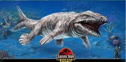 Dakosaurus122.jpg