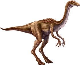 Gallimimus (5).png