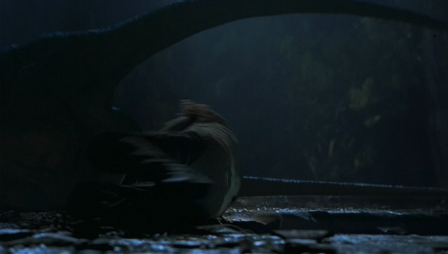 File:Vlcsnap-2009-12-01-01h31m22s254.png