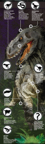File:Rex.png