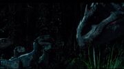 Raptors-talking-with-Indominus.jpg