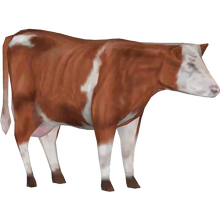 Cow JPOG2.png