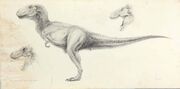 Trexjpcrash902