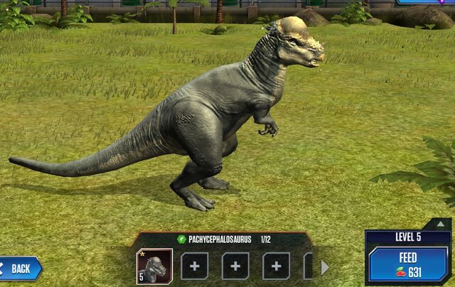 File:Pachycephalosaurus Base.jpg