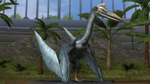File:Quetzalcoatlus-0.jpg