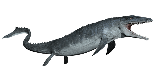 File:Mosasaurus-detail-header.png