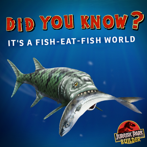 File:1620940 614906175264971 184796315 n.png