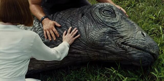 File:Apatosaurus.jpeg