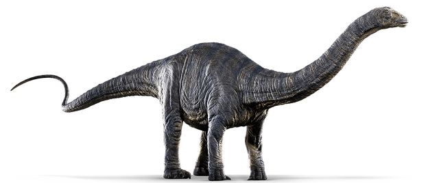 Файл:Apatosaurus.png