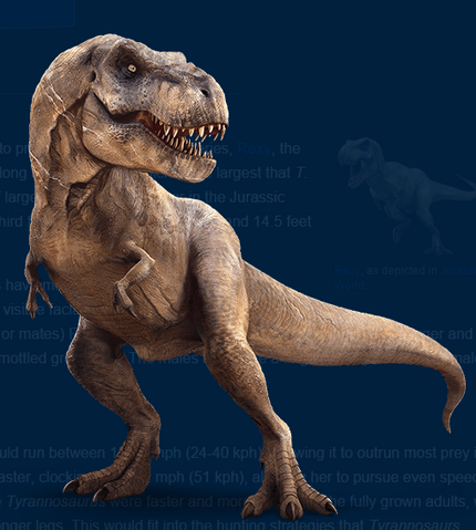 File:REX.png