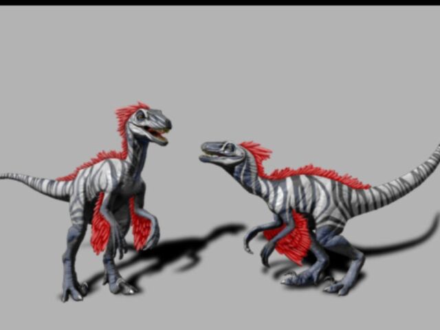 File:Featheredraptor3.jpg