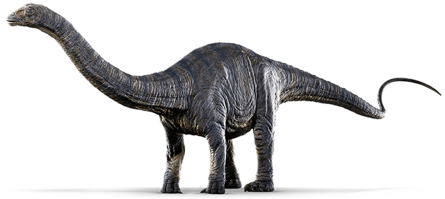 File:Apatosaurus Render.png
