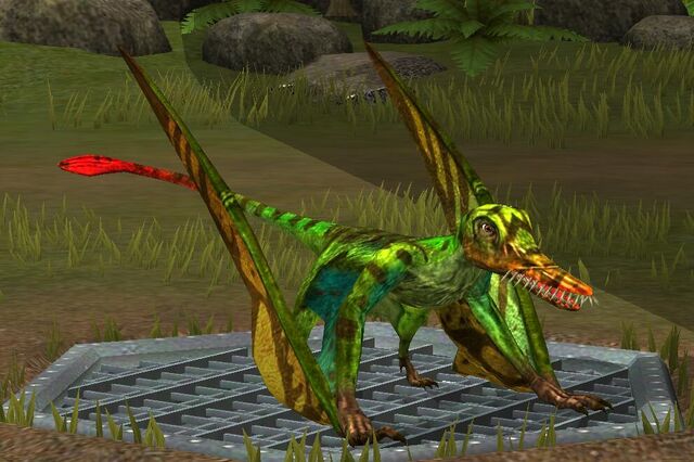 File:Rhamphorhynchus (17).jpg
