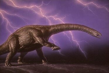 Apatosaurus (31)