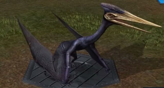 File:Zhejiangopterus (1).jpg