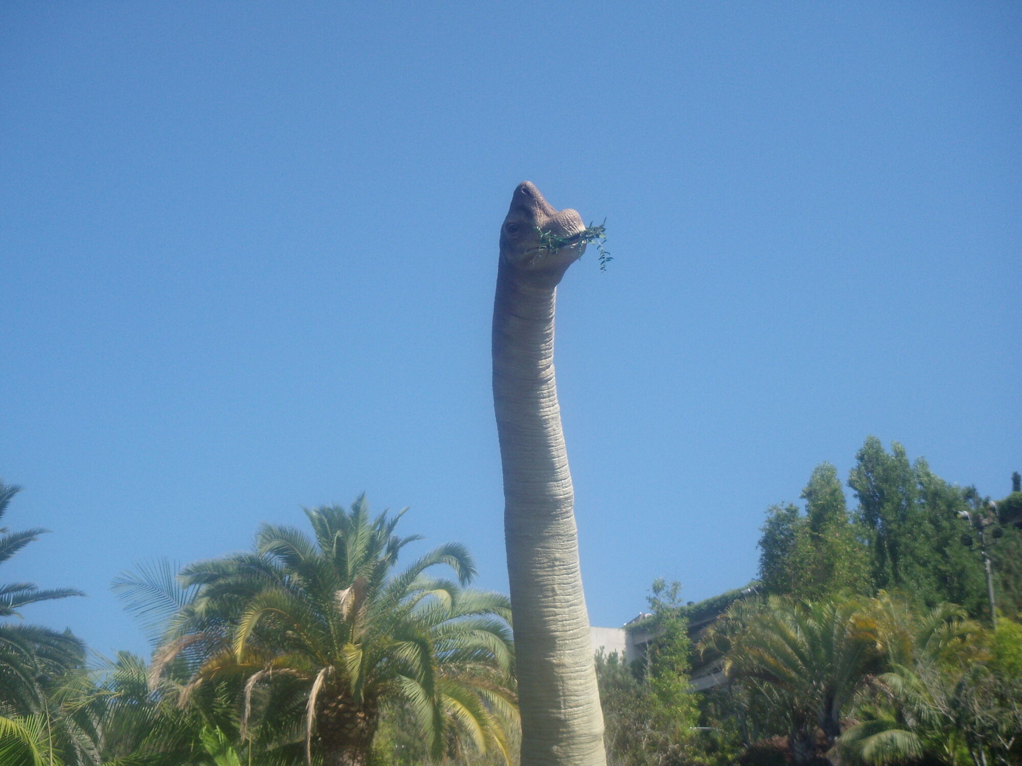 ultrasaurus fossil