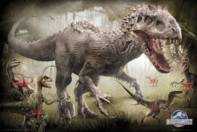 File:Mystery Raptor.jpg